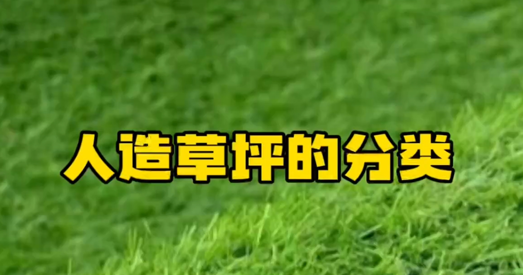 【奥体家科普】人造草坪的分类