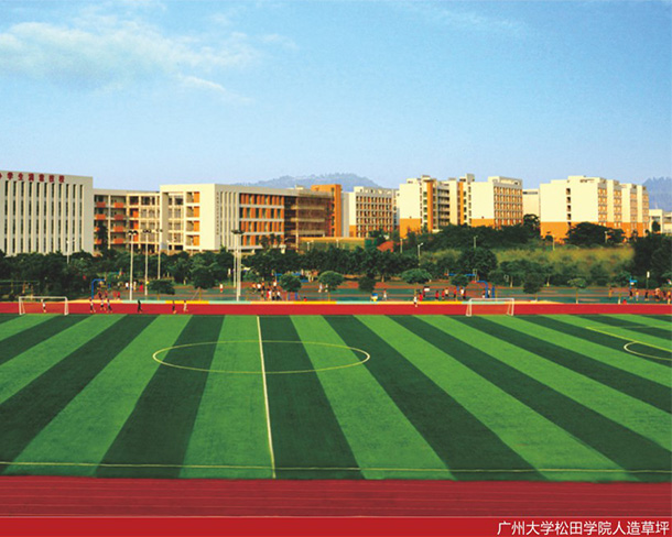 广州大学松田学院人造草坪