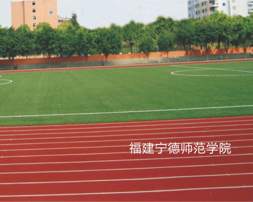 福建宁德师范学院