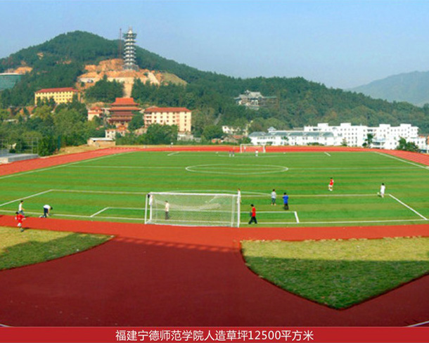 福建宁德师范学院人造草坪